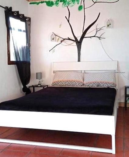 B&B Amigos De La Naturaleza Las Manchas  Εξωτερικό φωτογραφία